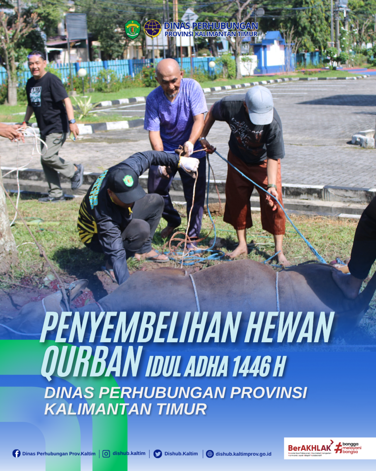 Penyembelihan Hewan Qurban Idul Adha 1446H Dishub Kaltim